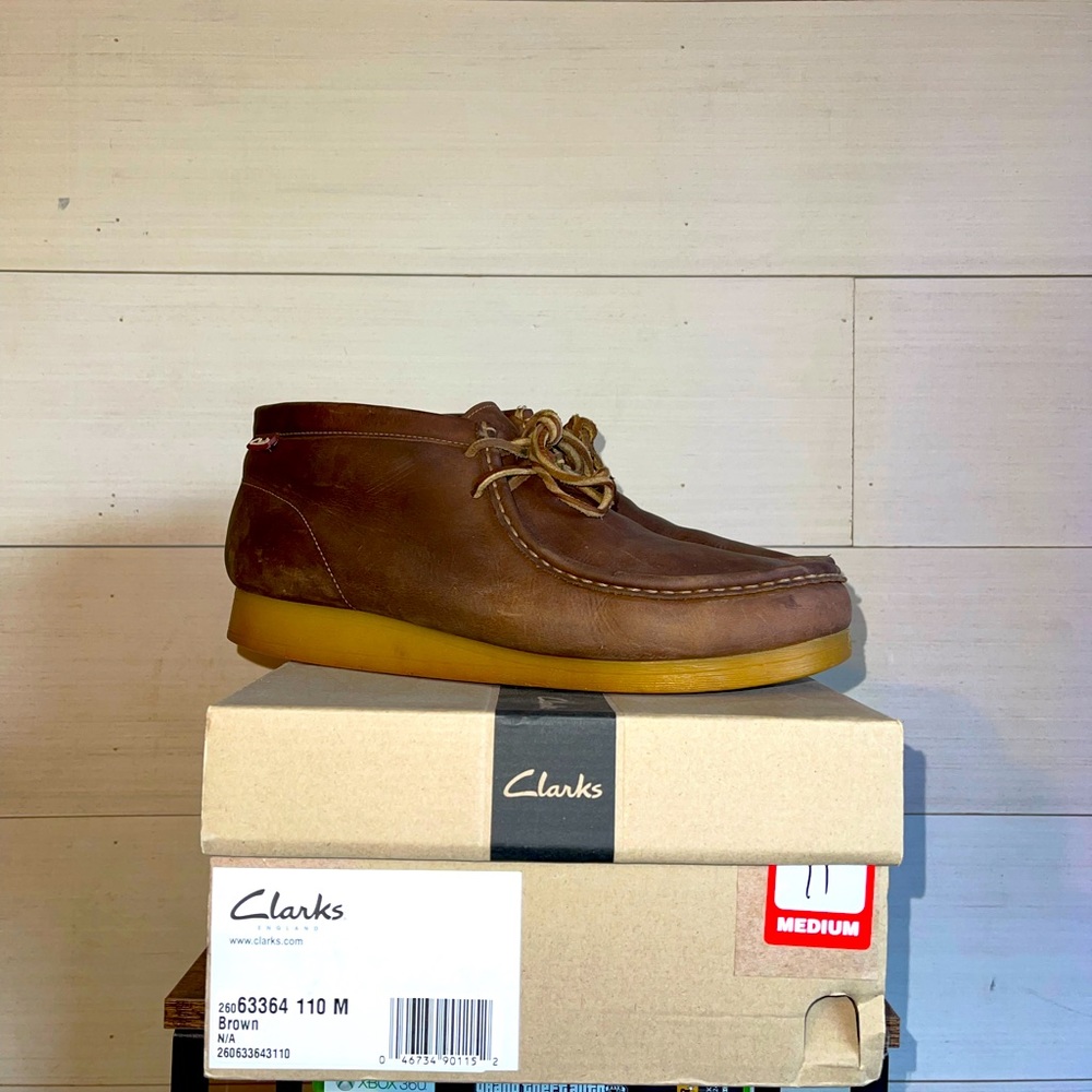 Clark’s wallabies